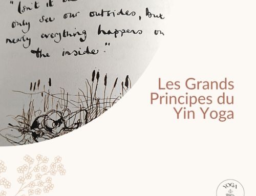 Les grands principes du Yin Yoga